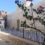 Cultura informa favorablemente el proyecto del Centro de Interpretación del Castillo de Hornachuelos