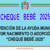 Convocatoria abierta: Cheque-Bebé 2025