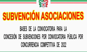 SOLICITUD DE LAS SUBVENCIONES CONCEDIDAS  PARA  CONVOCATORIA PÚBLICA POR CONCURRENCIA COMPETITIVA DE 2022